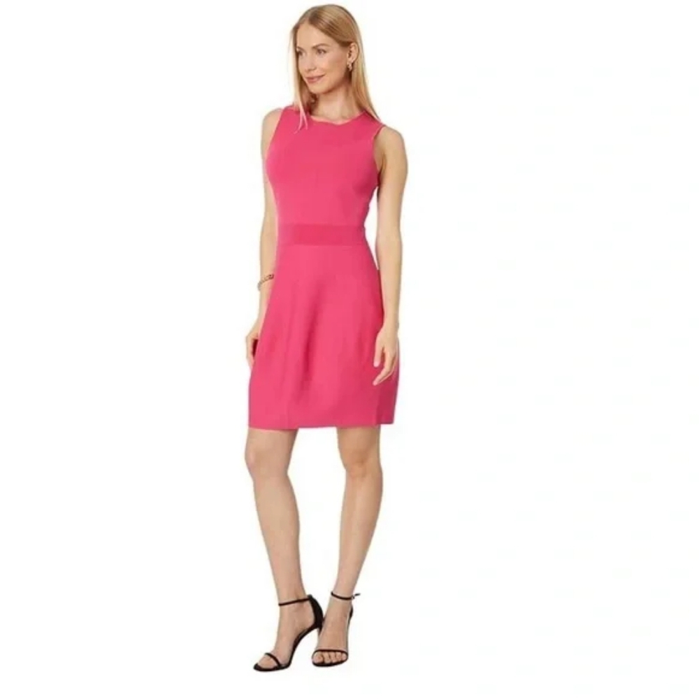 NWT Ted Baker London Gorjeta Knit Sheath Dress in Bright Pink Size 4